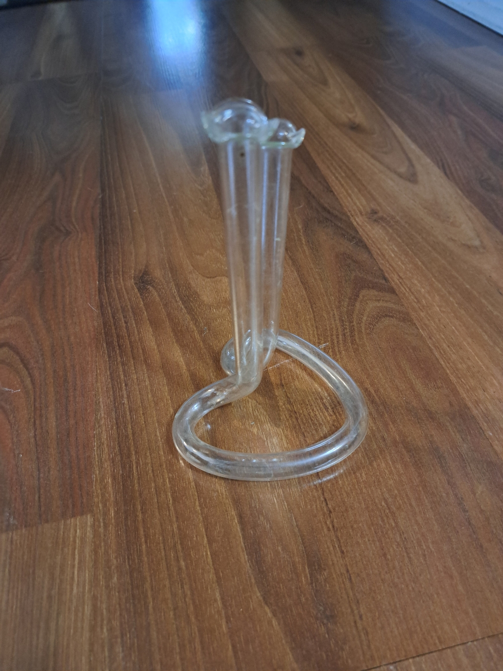 Super Cute Heart Propagation Vase
